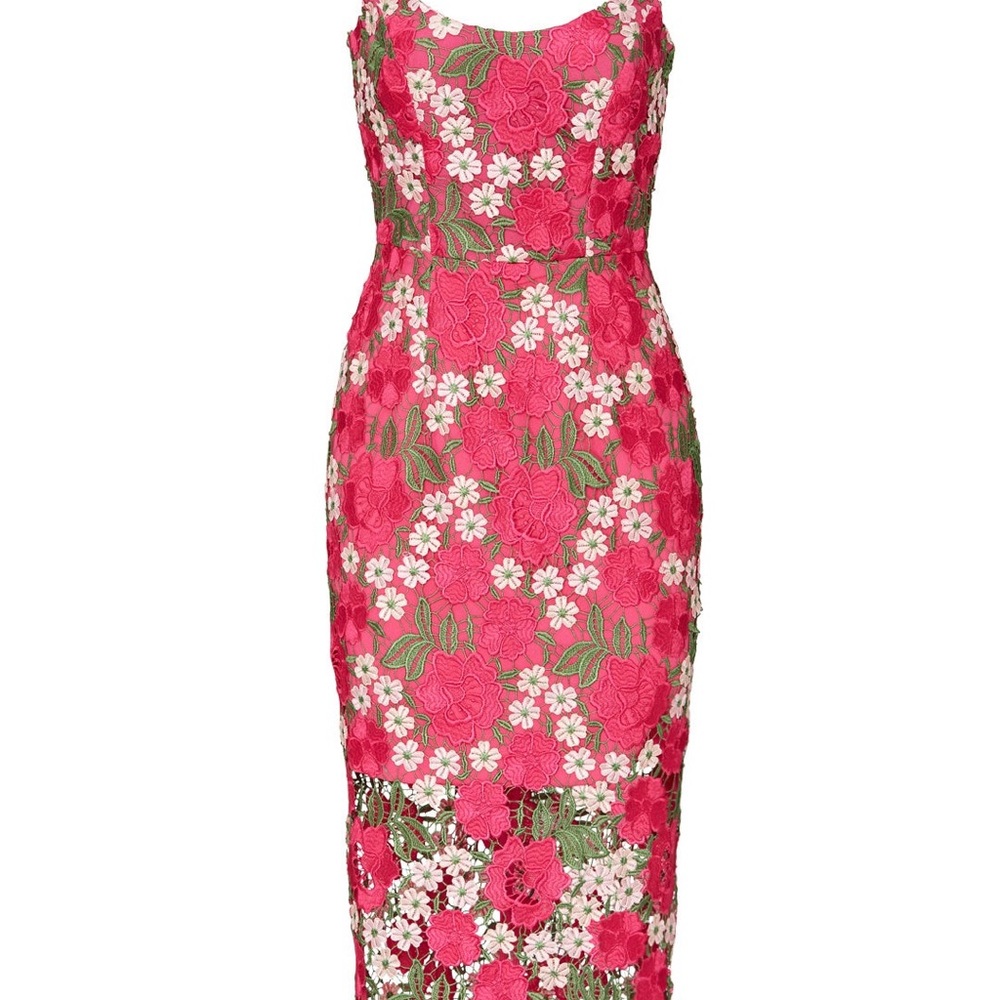 Dress the Population Pink and Green Embroidered Floral Midi Dress
